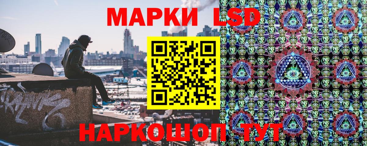 Губкин  Марки NBOMe 1,5мг  Марки NBOMe 1,5мг  Марки NBOMe  Вход с VPN 