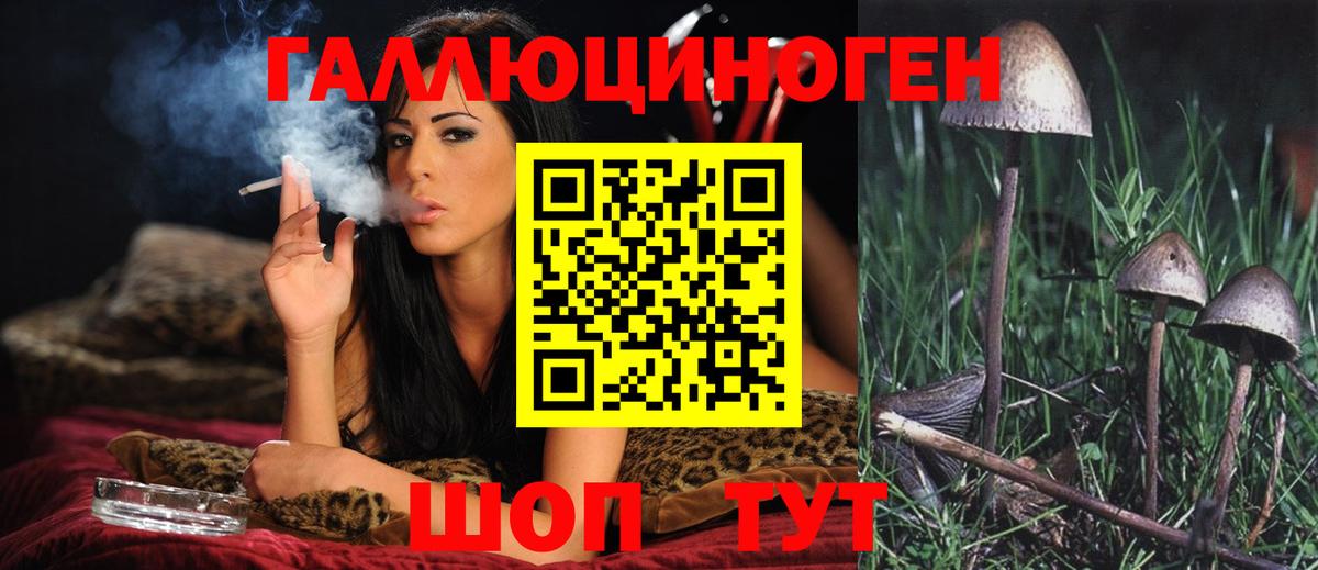 Галлюциногенные грибы GOLDEN TEACHER  что такое   Вход с VPN  Губкин  Псилоцибиновые грибы MAGIC MUSHROOMS 